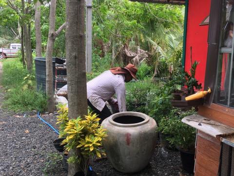 โครงการควบคุมและป้องกันโรคไข้เลือดออก ประจำปี 2566