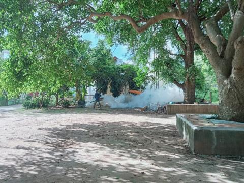 โครงการควบคุมและป้องกันโรคไข้เลือดออก ประจำปี 2566