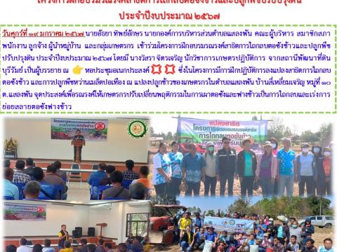 โครงการฝึกอบรมรณรงค์สาธิตการไถกลบตอซังข้าวและปลูกพืชปรับปรุงดิน