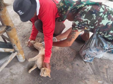 ฉีดวัคซีนป้องกันโรคพิษสุนัขบ้า ปีงบประมาณ 2568