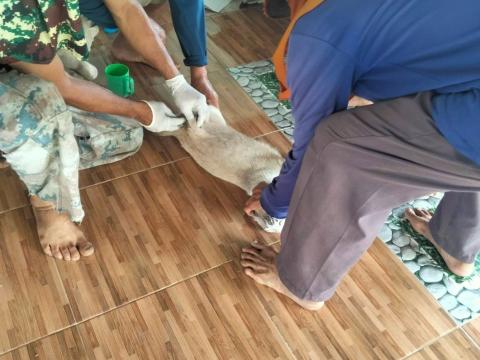 ฉีดวัคซีนป้องกันโรคพิษสุนัขบ้า ปีงบประมาณ 2568