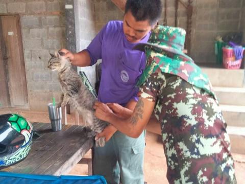 ฉีดวัคซีนป้องกันโรคพิษสุนัขบ้า ปีงบประมาณ 2568