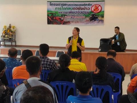 โครงการฝึกอบรมรณรงค์สาธิตการไถกลบตอซังข้าวและปลูกพืชปรับปรุงดิน