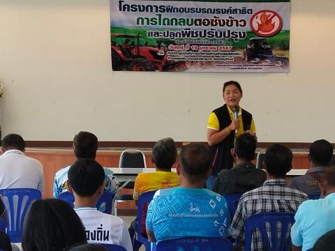 โครงการฝึกอบรมรณรงค์สาธิตการไถกลบตอซังข้าวและปลูกพืชปรับปรุงดิน