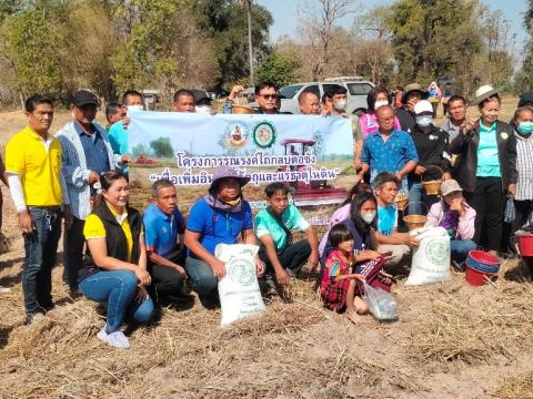 โครงการฝึกอบรมรณรงค์สาธิตการไถกลบตอซังข้าวและปลูกพืชปรับปรุงดิน