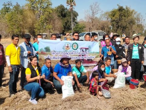 โครงการฝึกอบรมรณรงค์สาธิตการไถกลบตอซังข้าวและปลูกพืชปรับปรุงดิน