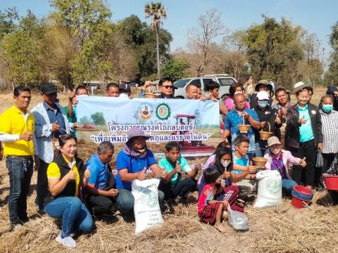 โครงการฝึกอบรมรณรงค์สาธิตการไถกลบตอซังข้าวและปลูกพืชปรับปรุงดิน