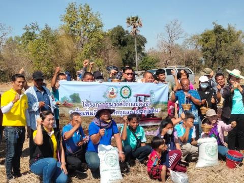 โครงการฝึกอบรมรณรงค์สาธิตการไถกลบตอซังข้าวและปลูกพืชปรับปรุงดิน