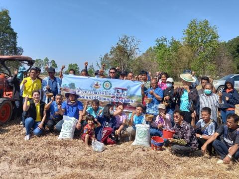 โครงการฝึกอบรมรณรงค์สาธิตการไถกลบตอซังข้าวและปลูกพืชปรับปรุงดิน