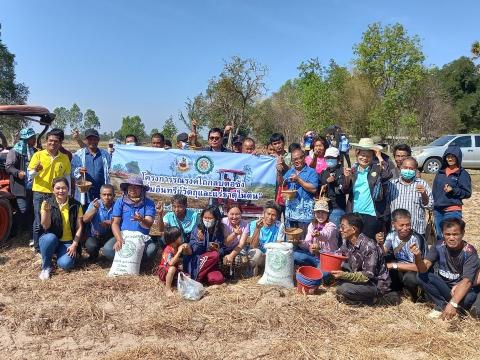 โครงการฝึกอบรมรณรงค์สาธิตการไถกลบตอซังข้าวและปลูกพืชปรับปรุงดิน