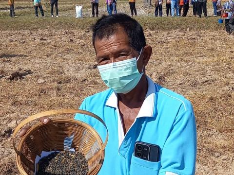 โครงการฝึกอบรมรณรงค์สาธิตการไถกลบตอซังข้าวและปลูกพืชปรับปรุงดิน