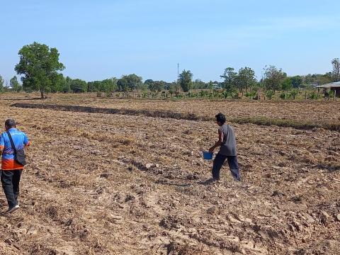 โครงการฝึกอบรมรณรงค์สาธิตการไถกลบตอซังข้าวและปลูกพืชปรับปรุงดิน
