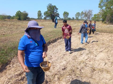 โครงการฝึกอบรมรณรงค์สาธิตการไถกลบตอซังข้าวและปลูกพืชปรับปรุงดิน